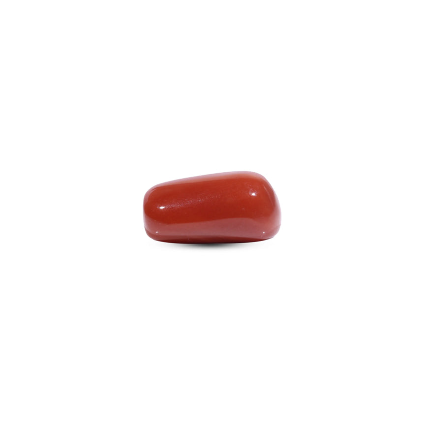 Red Coral - 7.75 Carat