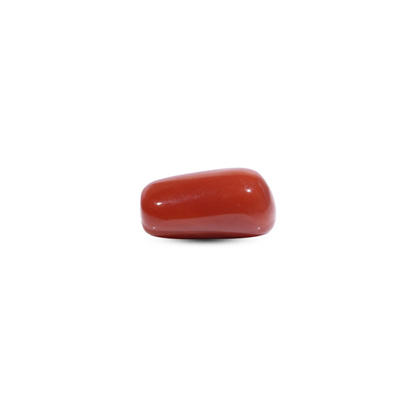 Red Coral - 7.75 Carat