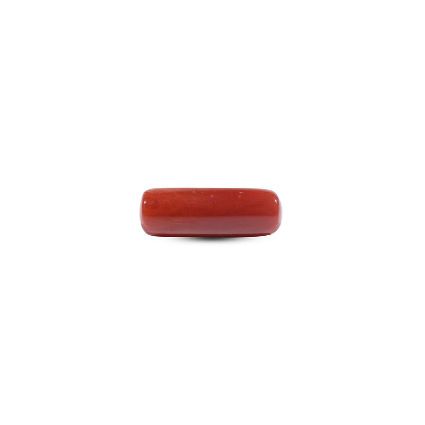 Red Coral - 8.15 Carat