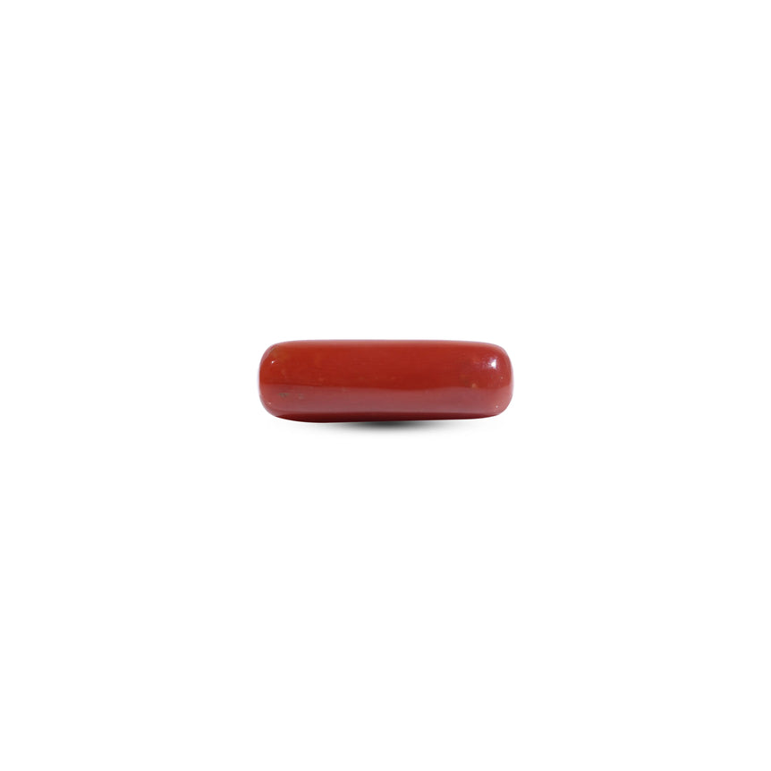  Red Coral - 7.35 Carat - Pramogh