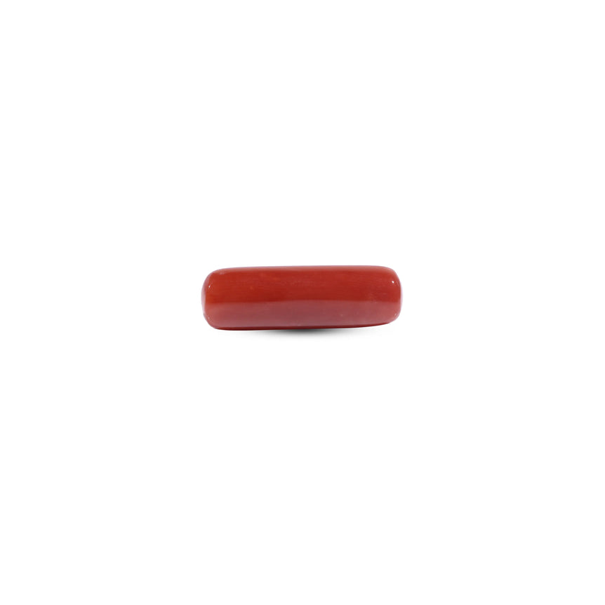 Red Coral - 7.35 Carat