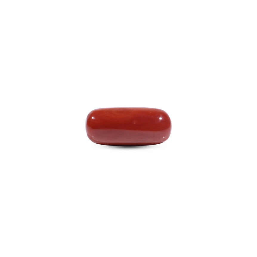  Red Coral - 8.6 Carat - Pramogh