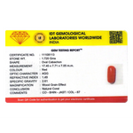 Red Coral - 8.6 Carat
