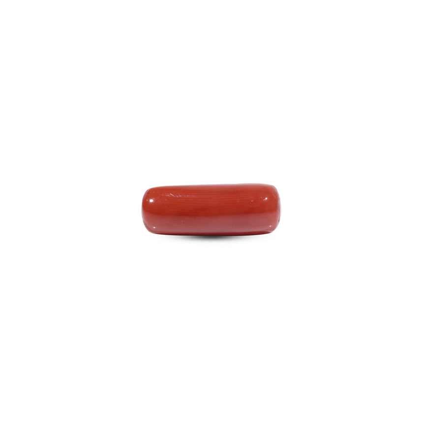  Red Coral - 7.55 Carat - Pramogh