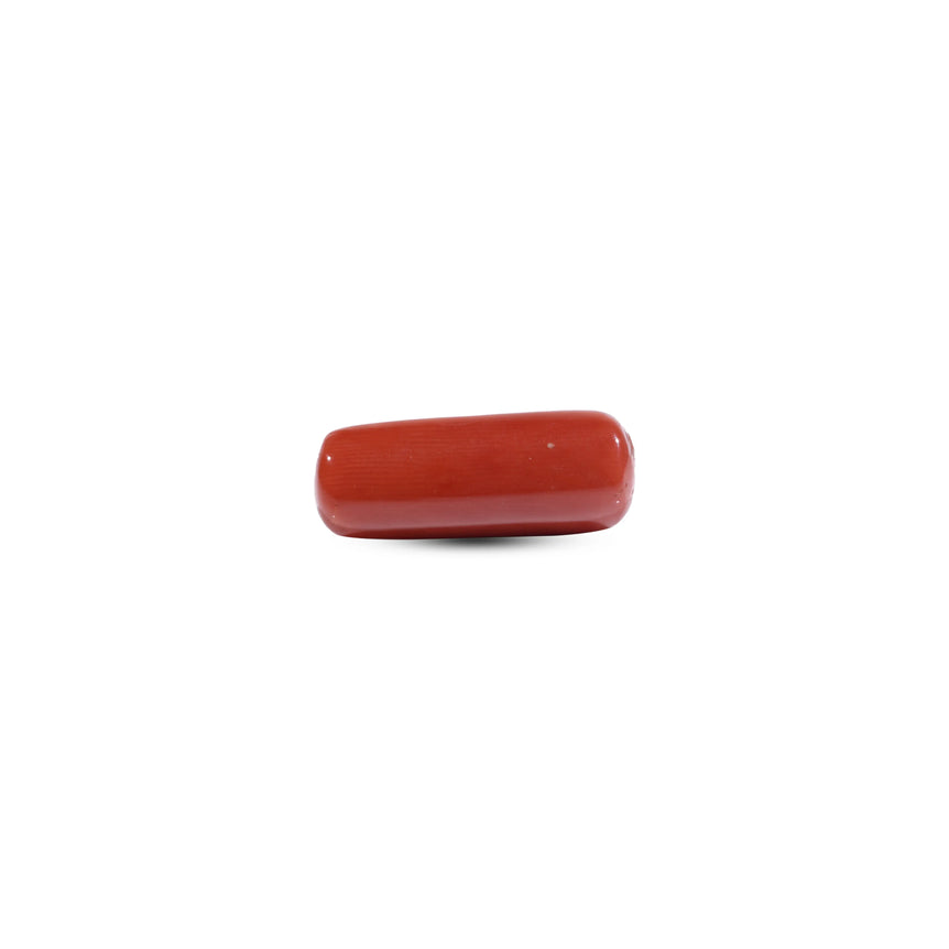 Red Coral - 7.55 Carat