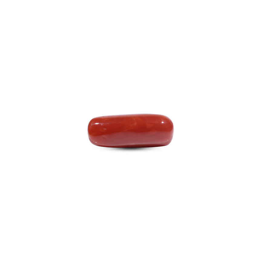 Red Coral - 8.3 Carat - Pramogh