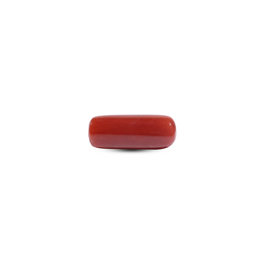 Red Coral - 7.25 Carat