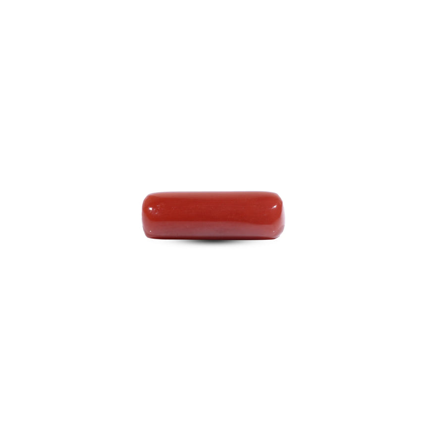 Red Coral - 7.25 Carat