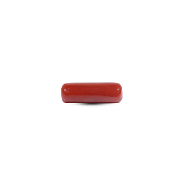 Red Coral - 7.25 Carat