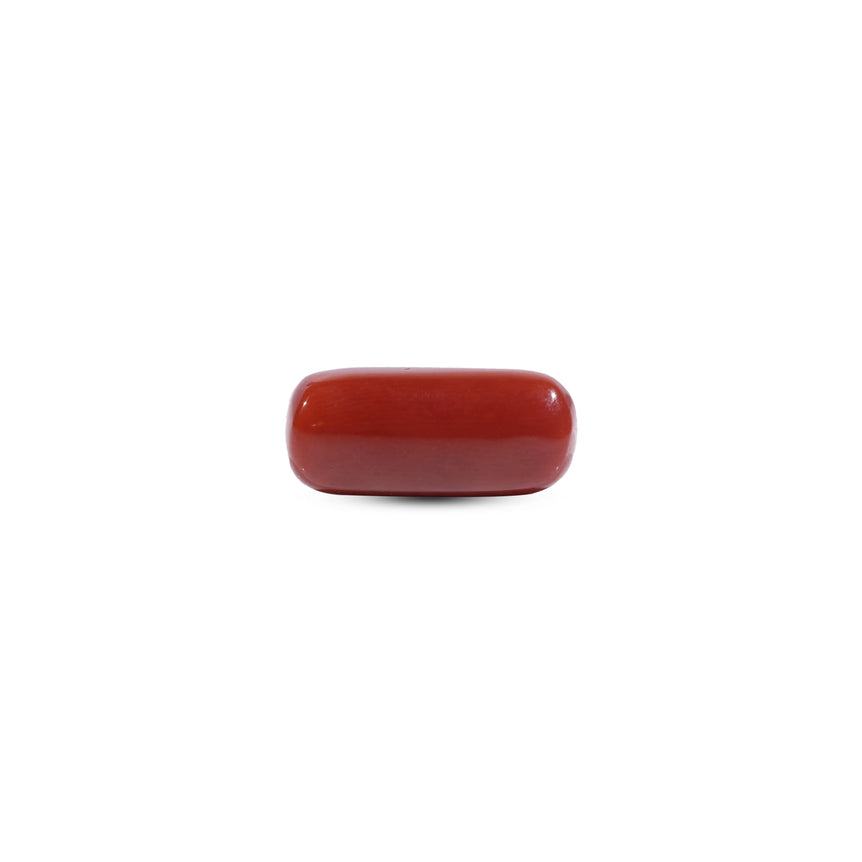 Red Coral - 7.1 Carat