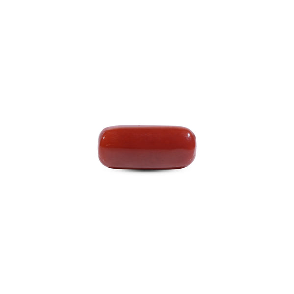 Red Coral - 7.1 Carat