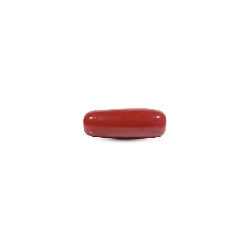  Red Coral - 7.95 Carat - Pramogh