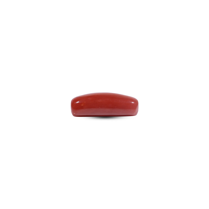 Red Coral - 7.95 Carat
