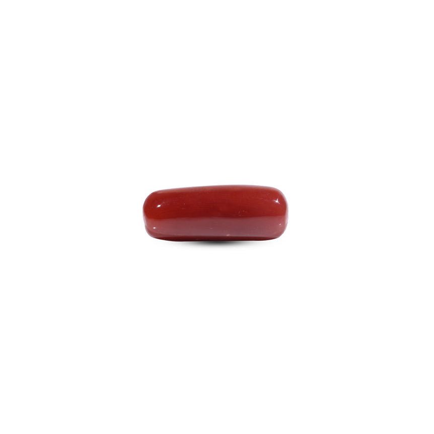  Red Coral - 7.7 Carat - Pramogh