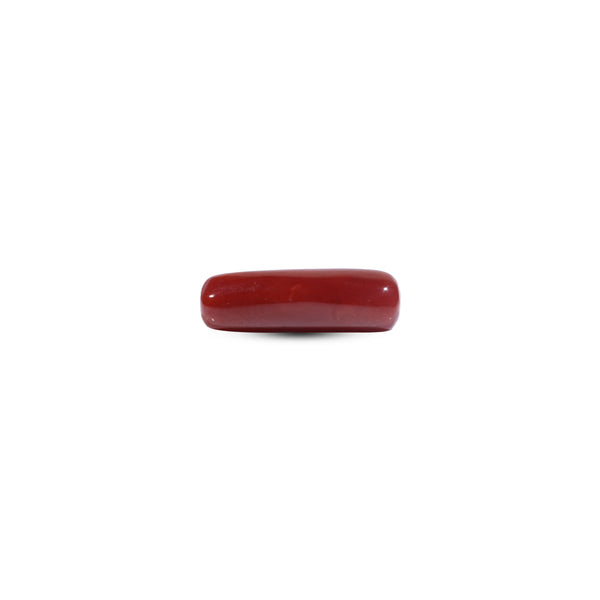  Red Coral - 7.25 Carat - Pramogh