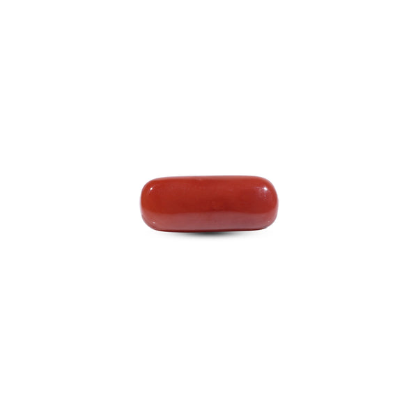 Red Coral - 8 Carat - Pramogh