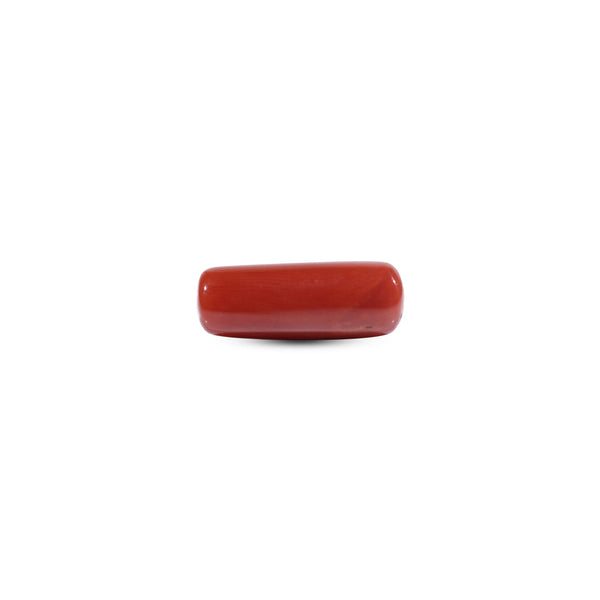 Red Coral - 7.75 Carat