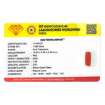 Red Coral - 7.75 Carat