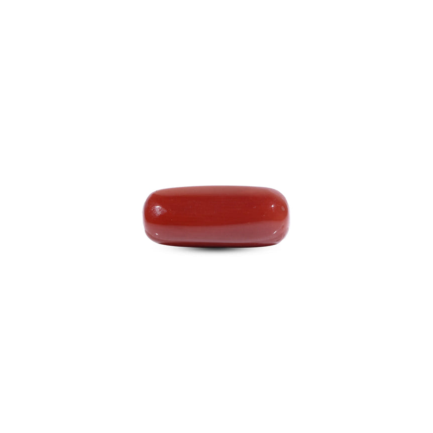  Red Coral - 8.15 Carat - Pramogh