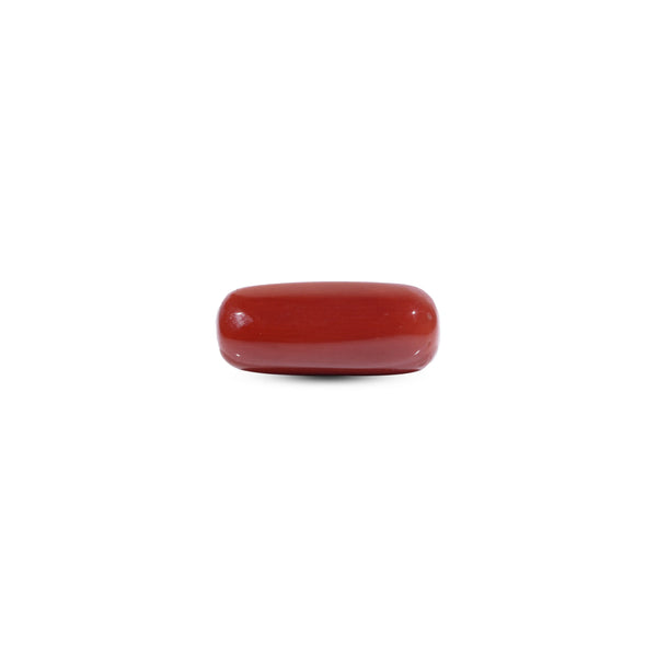  Red Coral - 8.15 Carat - Pramogh