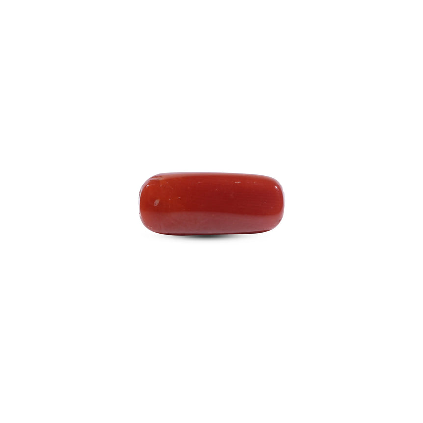 Red Coral - 8.15 Carat