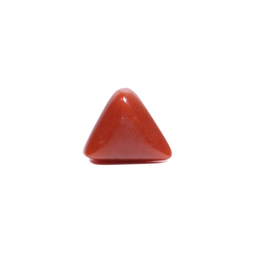  Red Coral - 5.9 Carat - Pramogh