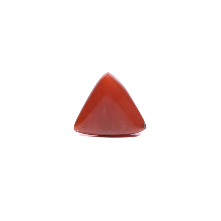 Red Coral - 6 Carat