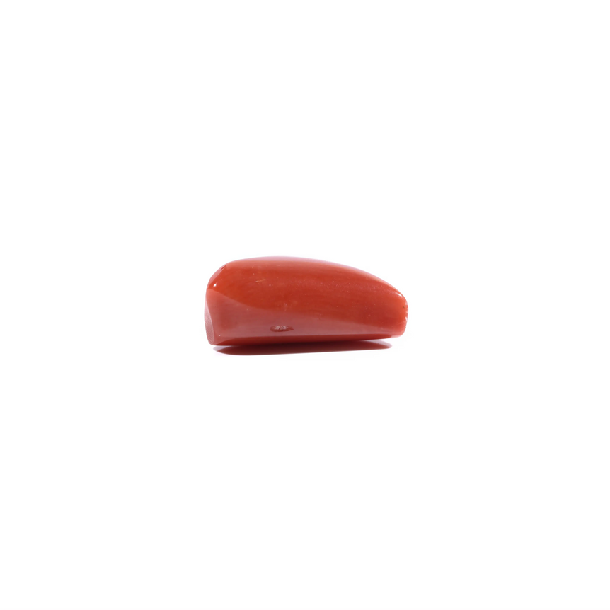 Red Coral - 5.6 Carat