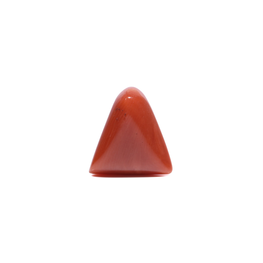 Red Coral - 5.55 Carat