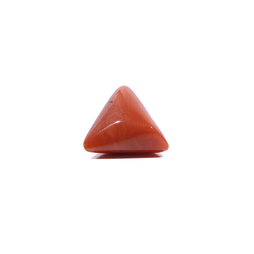 Red Coral - 5.55 Carat