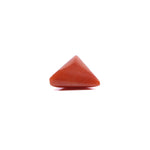 Red Coral - 5.7 Carat