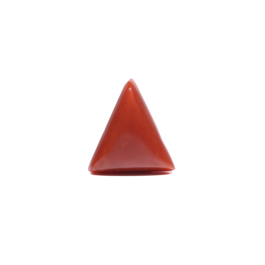 Red Coral - 5.55 Carat