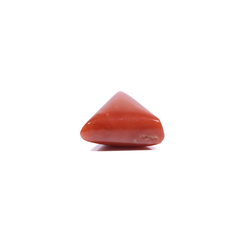 Red Coral - 5.55 Carat