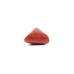 Red Coral - 5.55 Carat