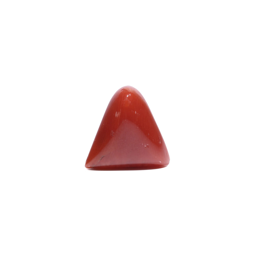  Red Coral - 5.8 Carat - Pramogh