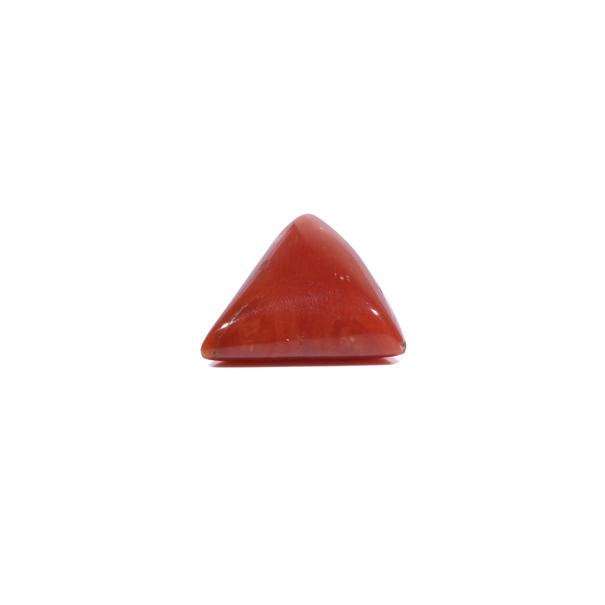 Red Coral - 5.8 Carat