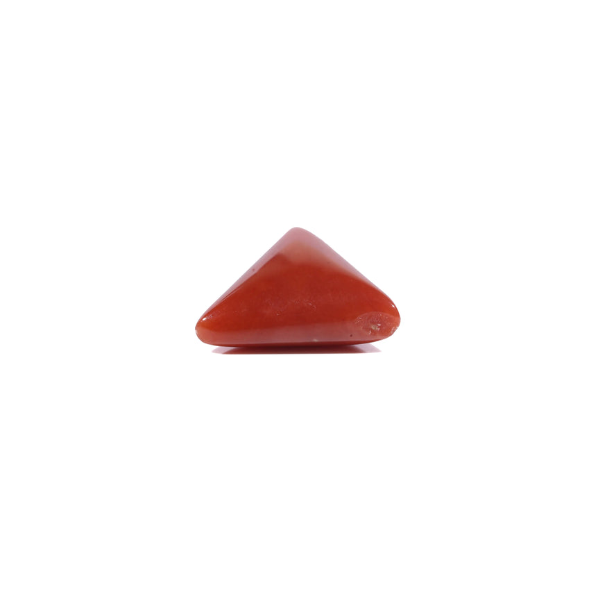 Red Coral - 6.2 Carat