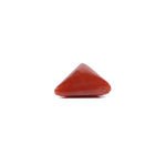 Red Coral - 6.2 Carat