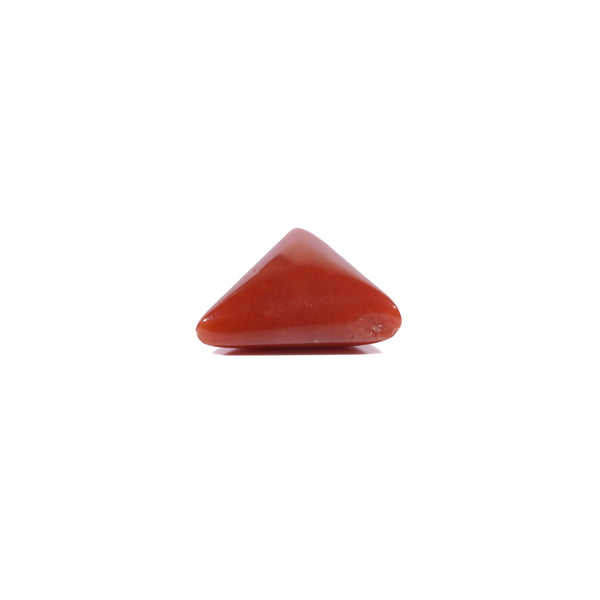 Red Coral - 6.2 Carat