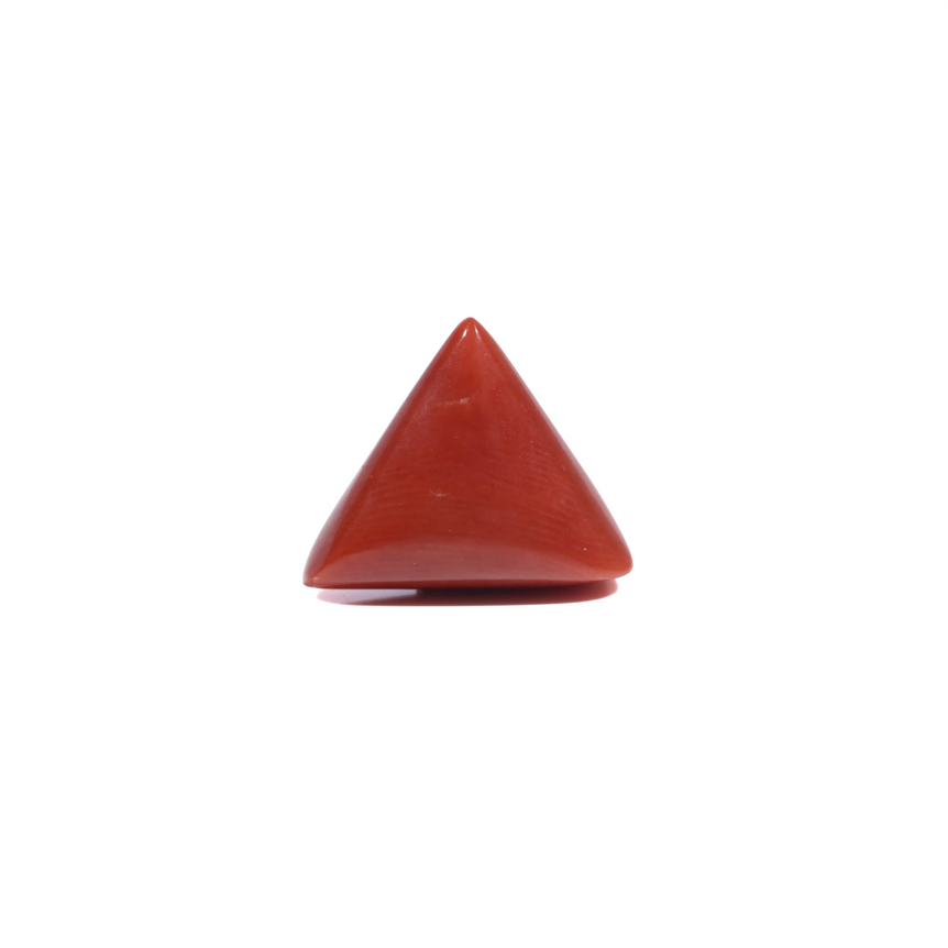  Red Coral - 5.8 Carat - Pramogh