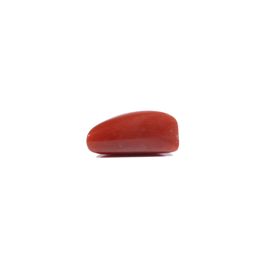 Red Coral - 5.8 Carat