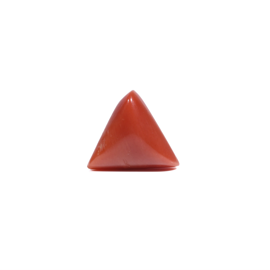 Red Coral - 5.6 Carat