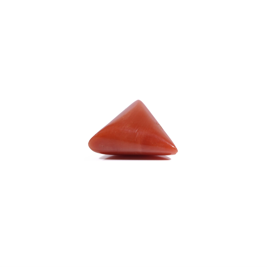 Red Coral - 5.6 Carat