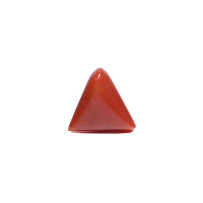 Red Coral - 6.2 Carat