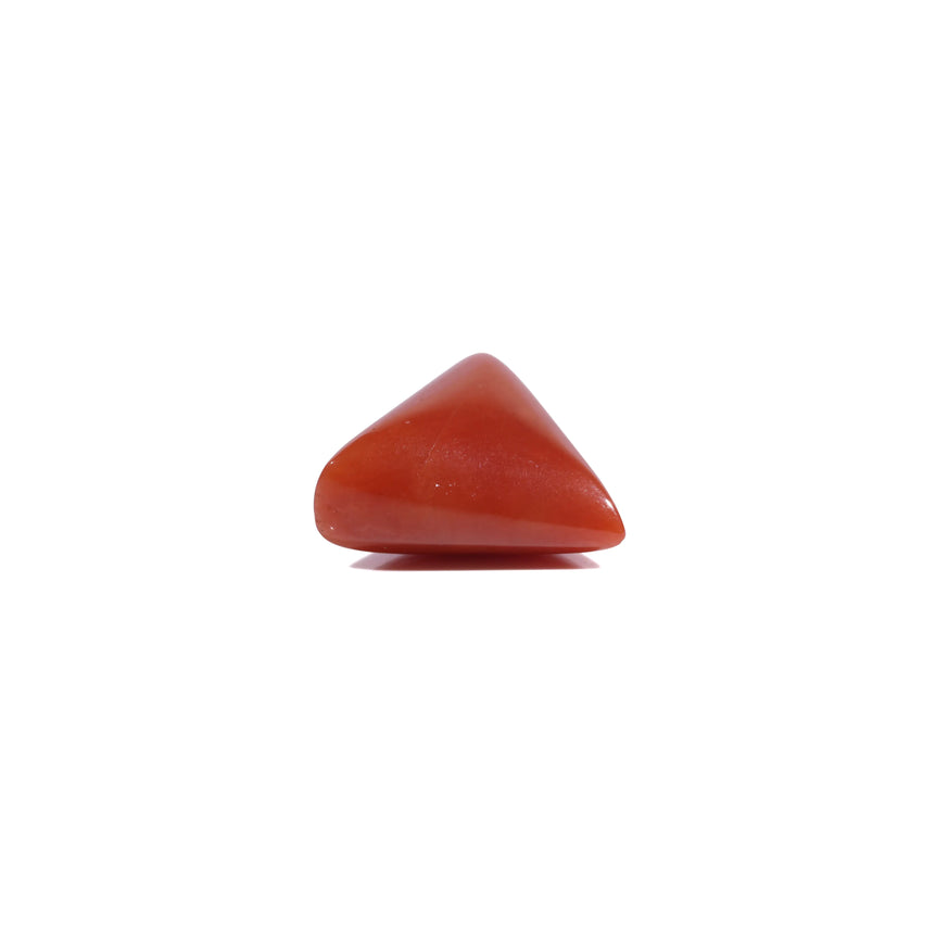 Red Coral - 6.2 Carat