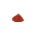 Red Coral - 6.2 Carat