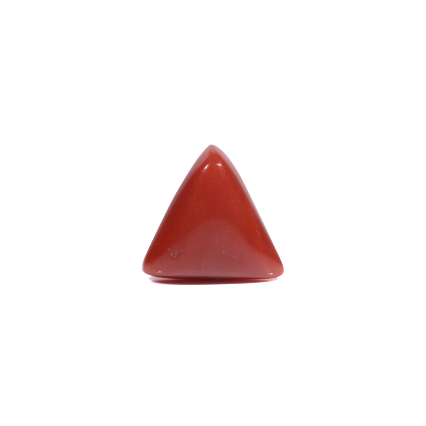  Red Coral - 5.45 Carat - Pramogh