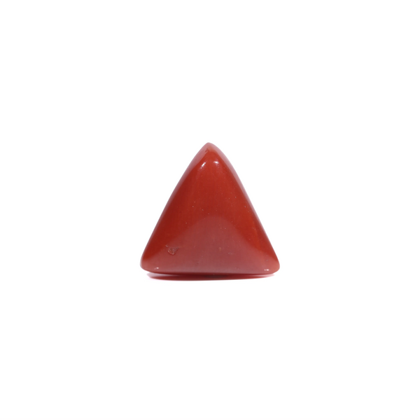  Red Coral - 5.45 Carat - Pramogh