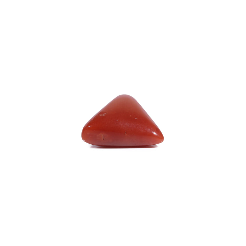 Red Coral - 5.45 Carat