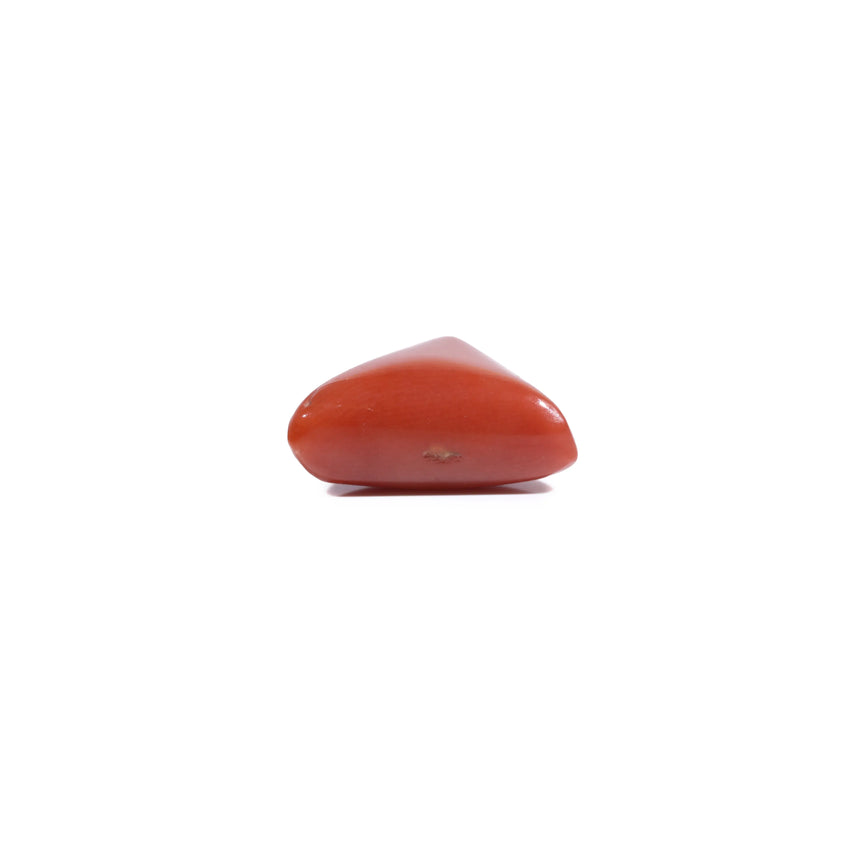 Red Coral - 5.55 Carat